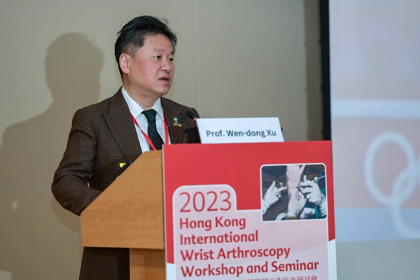 2023 Wrist Course - Seminar 2 Dec  - 123 of 266